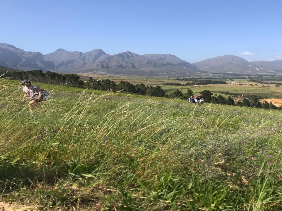 Retreat At Waterfall Valley Paarl Eksteriør billede
